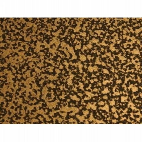 Treasury Bronze Light