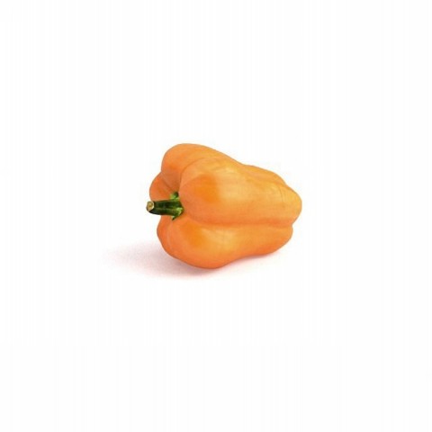 Orange Capsicum