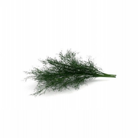 Dill