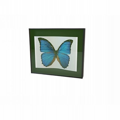 Green Picture Frame